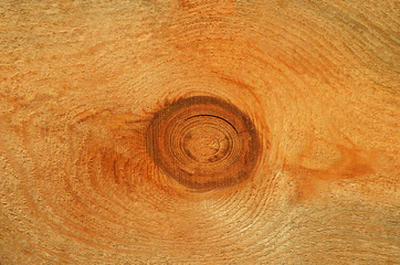 Wooden textured background