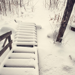 stairs covered with snow