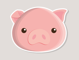 pig animal cute little cartoon icon. Colorful and flat design. Vector illustration