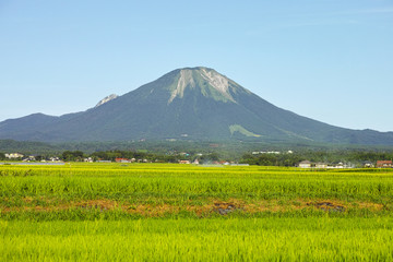 夏の大山　西麓