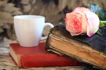 Old Bible and a Pink Rose