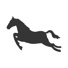 Fototapeta na wymiar horse ride animal jump fast jockey mammal vector illustration isolated