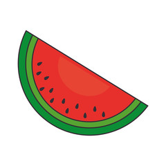 watermelon fresh fruit natural healthy nutrition food vector illustration isolated