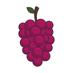 grape cluster fruit food nutrition ripe wine 