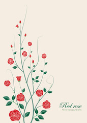 roses flower illustration