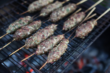 kebab on a skewer