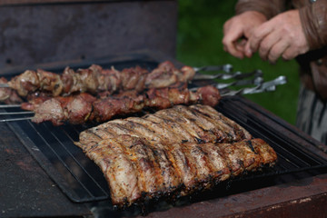 meat skewers on the barbecue coals