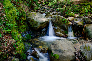 Attractive Waterfall and Green Moss Stone In Forest