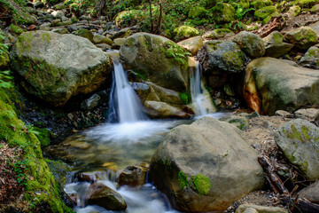 Attractive Waterfall and Green Moss Stone In Forest