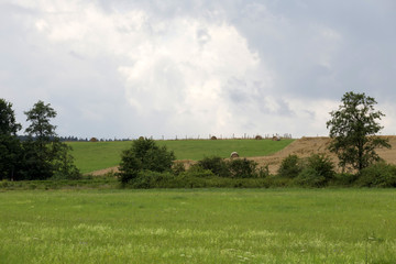 Obraz premium Storm summer country Lanscape in south Bohemia