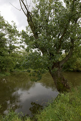 Storm summer country Lanscape in south Bohemia