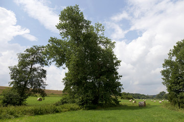 Storm summer country Lanscape in south Bohemia