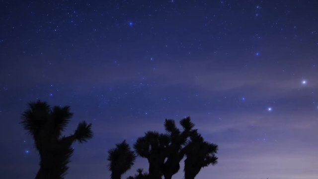Milky Way Galaxy Joshua Trees 04 Time Lapse Mojave Desert California