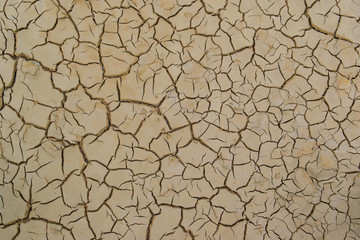 Land with dry and cracked ground texture