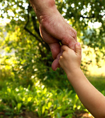 hands grandfather and grandson