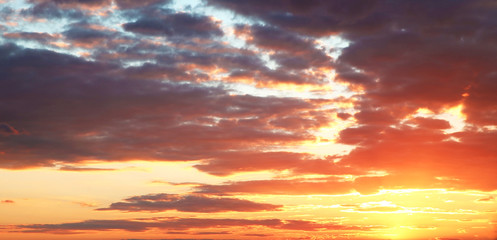 colorful purple sunset