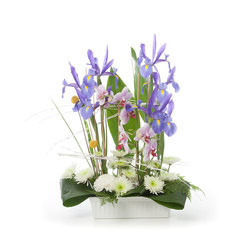 Floral arrangement made of  Iris, orchids and chrysanthemum