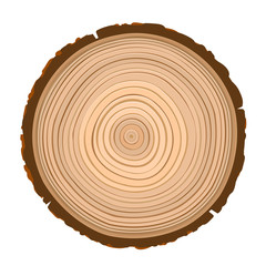 texture of sawn wood brown object