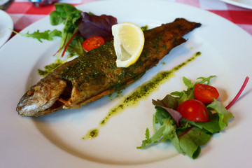 grilled trout fish
