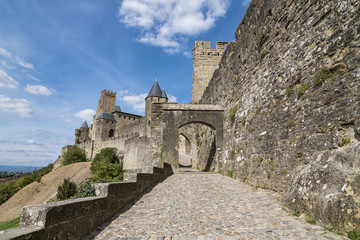 Fototapeta na wymiar Carcassonne ( Francia )