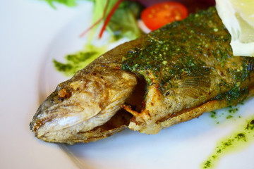 grilled trout fish