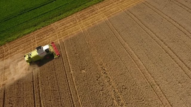 Aerial view of combine harvester - reaping a wheat field