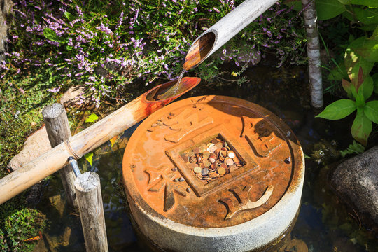  Traditional japanese water fountain in garden