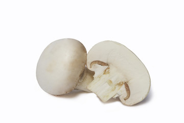 Fototapeta na wymiar White Mushroom