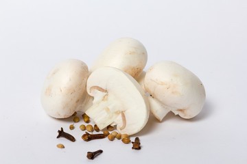 fresh mushrooms isolated