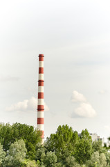 Fototapeta na wymiar plant chimney