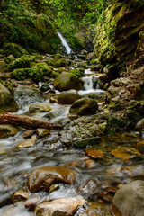 Attractive Waterfall and Green Moss Stone In Forest