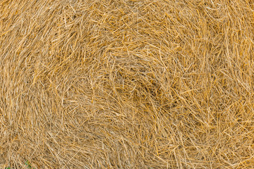 Naklejka premium Close up of straw bale