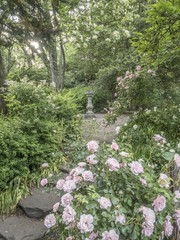 Shakespeare Garden Central Park, New York City