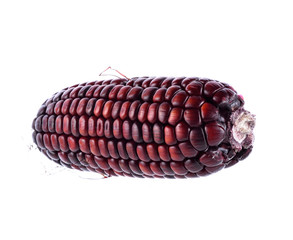 purple corn on white background