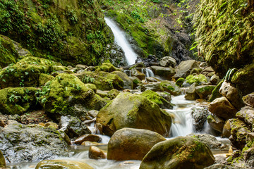 Attractive Waterfall and Green Moss Stone In Forest