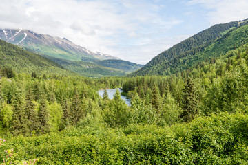 National Forest in Alaska