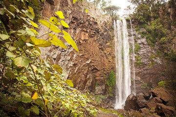 Queen Mary Falls - Warwick Queensland Australia