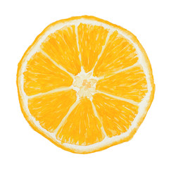 Slice of mandarin isolated on white background. Watercolor illus