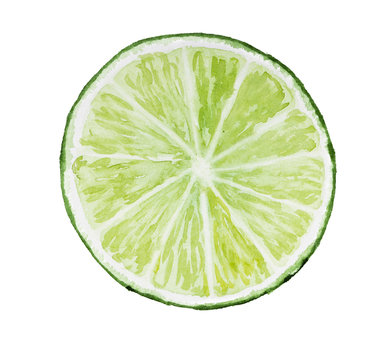 Lime isolated on white background. Watercolor illustration.
