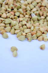 Green buckwheat on blue background