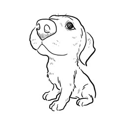 Puppy Dog Sketch. A hand drawn vector illustration of a cute puppy.