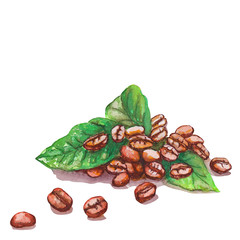 Fototapeta na wymiar Coffee grains and green leaves on White Background, Watercolor Art