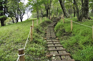 森に続く木道