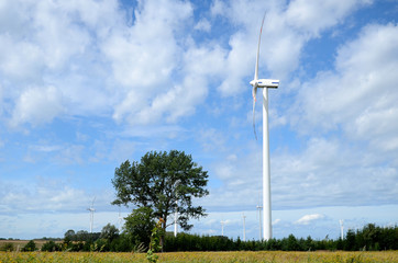 Wind farm © Artur Henryk