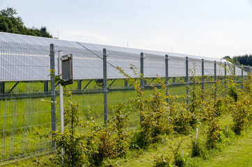Fototapeta premium Photovoltaik hinter Zaun