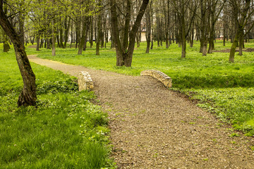 Bridge of the stones in the park