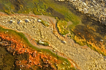 Hot water stream, Orakei Korako