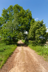 Landschaft mit Feldweg im Sommer