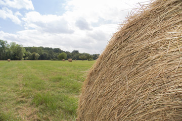 Beautiful countryside landscape. Round straw bales in harvested fields and blue sky with clouds