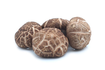 Shiitake mushroom on the White background